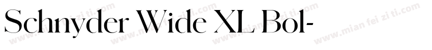 Schnyder Wide XL Bol字体转换